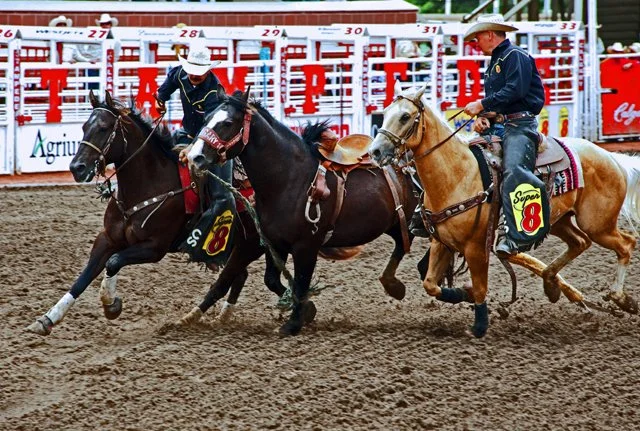 Rodeo-087.jpg