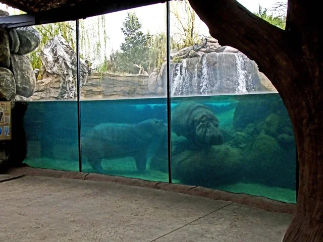 FWZoo-197.jpg