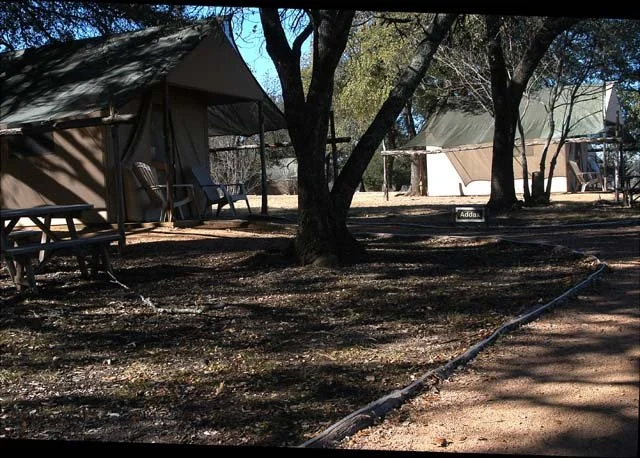 2003 Fossil Rim-005.jpg