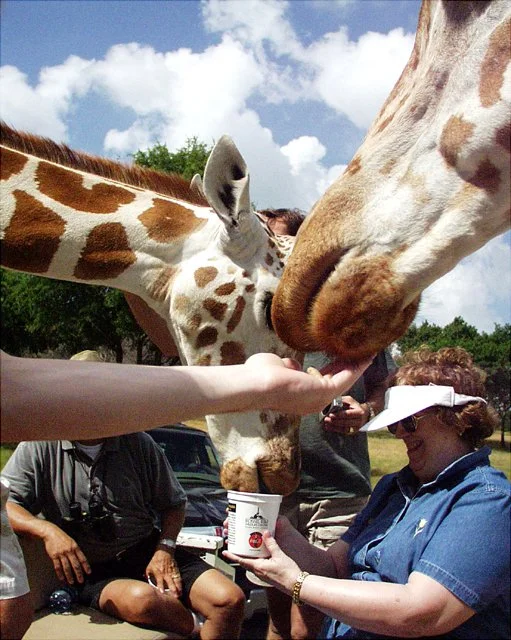 2001 Fossil Rim-056.jpg