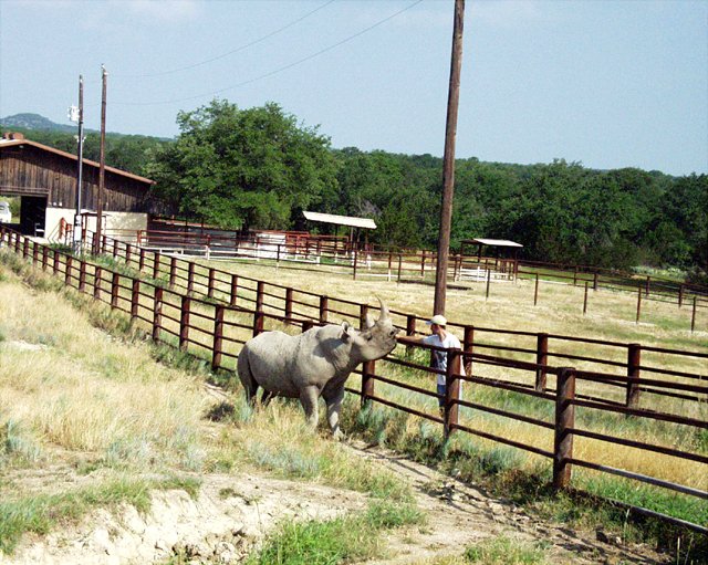 2001 Fossil Rim-025.jpg