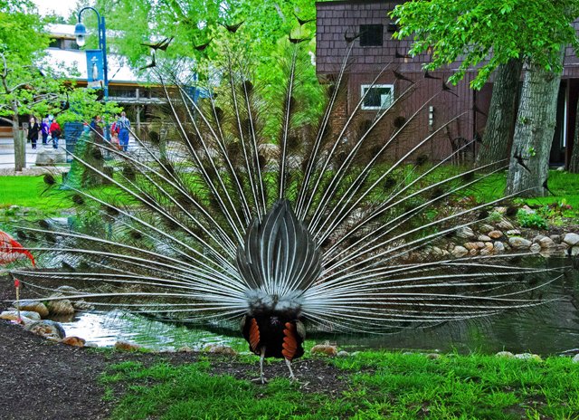 2012 Calgary Spring-230