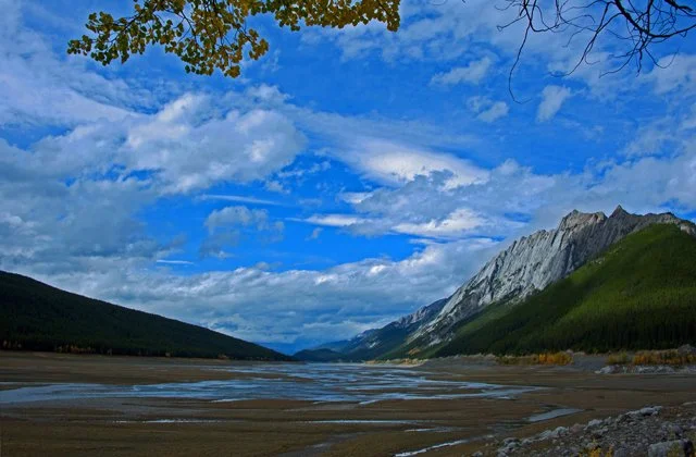 2011 Medicine Lk-090