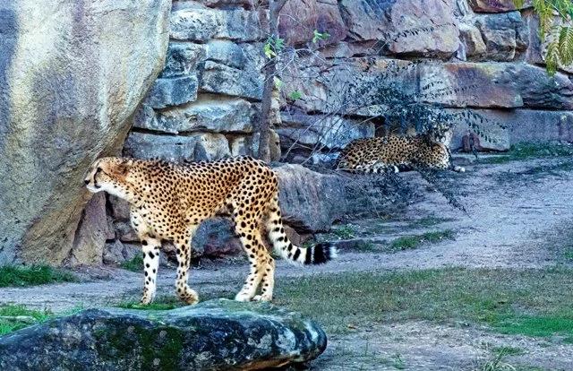 FW Zoo-075.jpg