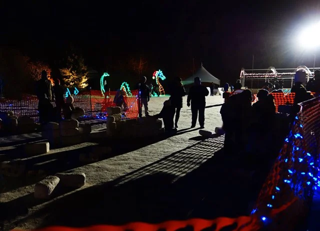 2013 Calgary Zoolights-100