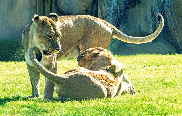 FW Zoo-103.jpg