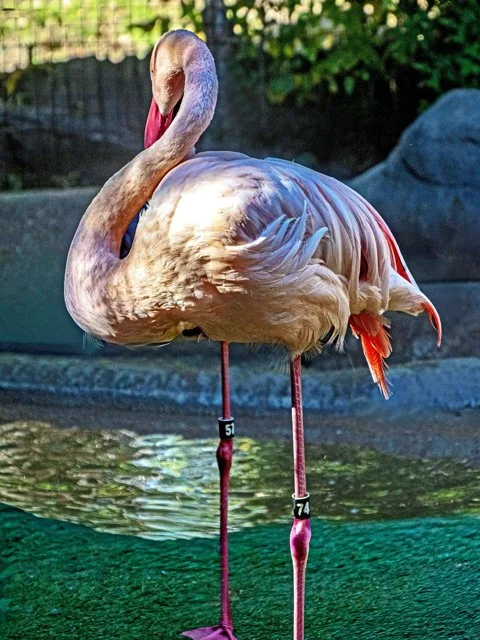 FW Zoo-156.jpg