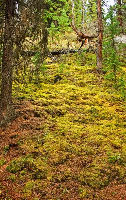 2011 Schaffer Trail-090