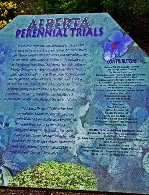 2012 Calgary Spring-130