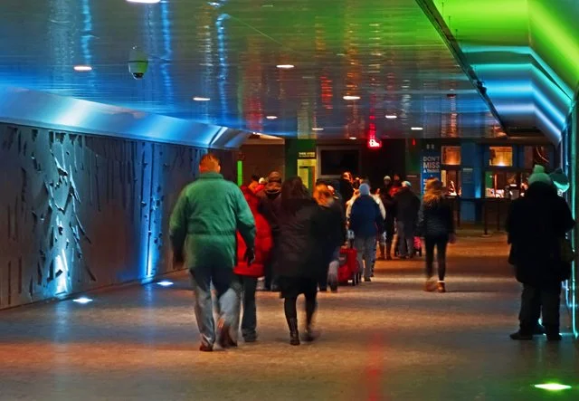 2013 Calgary Zoolights-010