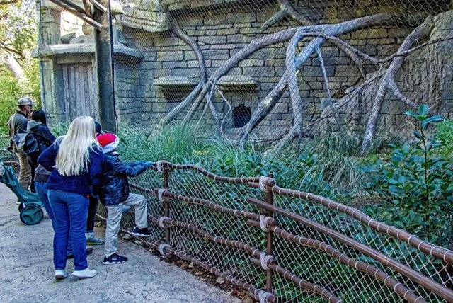FW Zoo-037.jpg