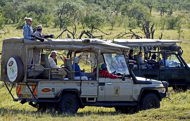 Jennifer Bartlett-130