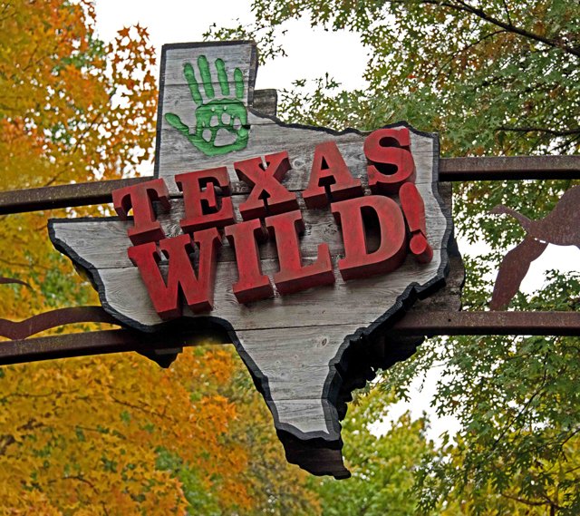 FWZoo-113.jpg