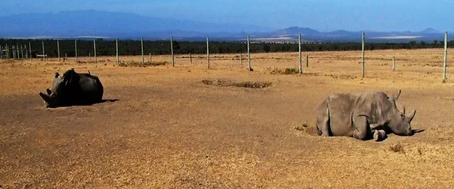 Day 07-047.jpg