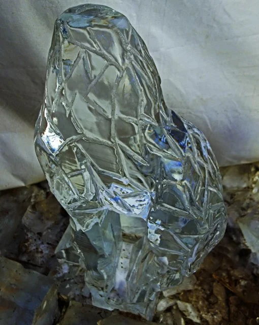 2013 Calgary Zoolights-070