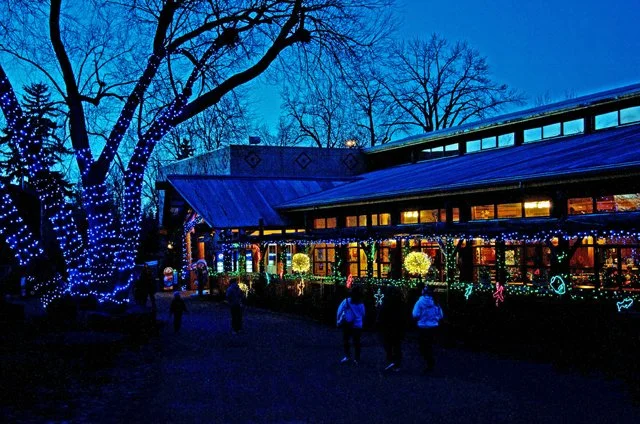Zoolights-045.jpg