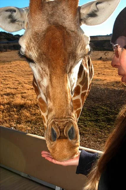 2003 Fossil Rim-058.jpg
