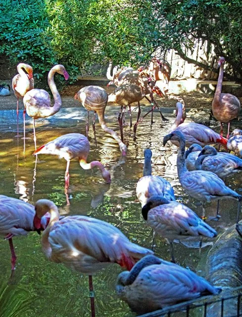 FW Zoo-154.jpg