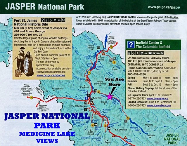 2011 Medicine Lk-001