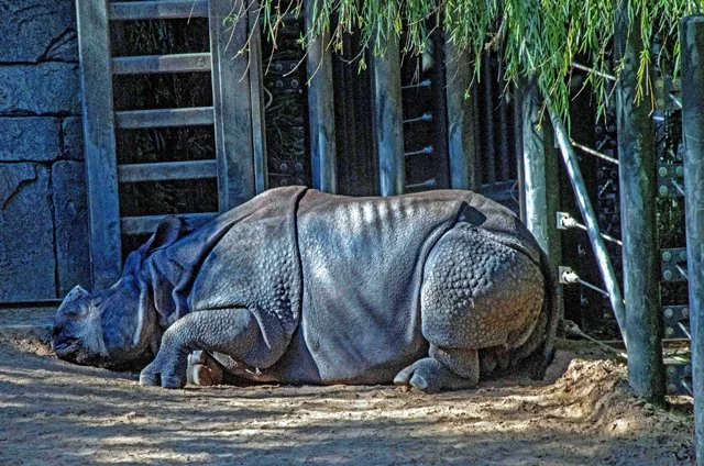 FW Zoo-033.jpg