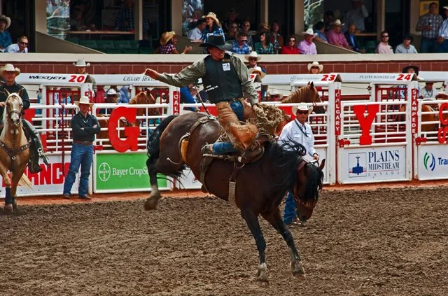 Rodeo-082.jpg