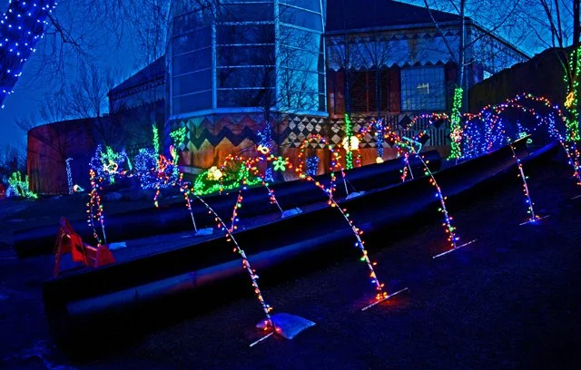 Zoolights-042.jpg