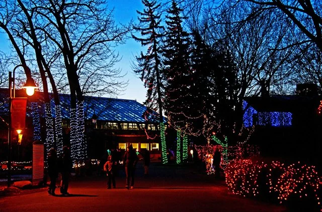 2012 Calgary Zoolights-110