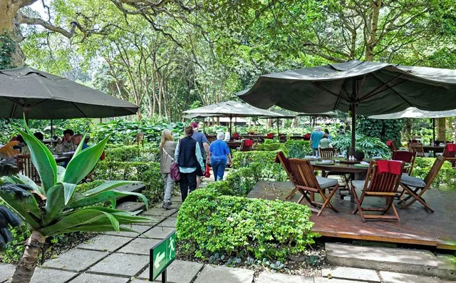 2025 Group Photos-020