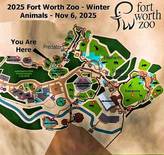 FW Zoo-175.jpg