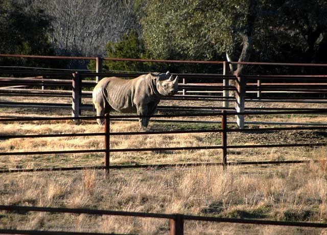 2003 Fossil Rim-027.JPG