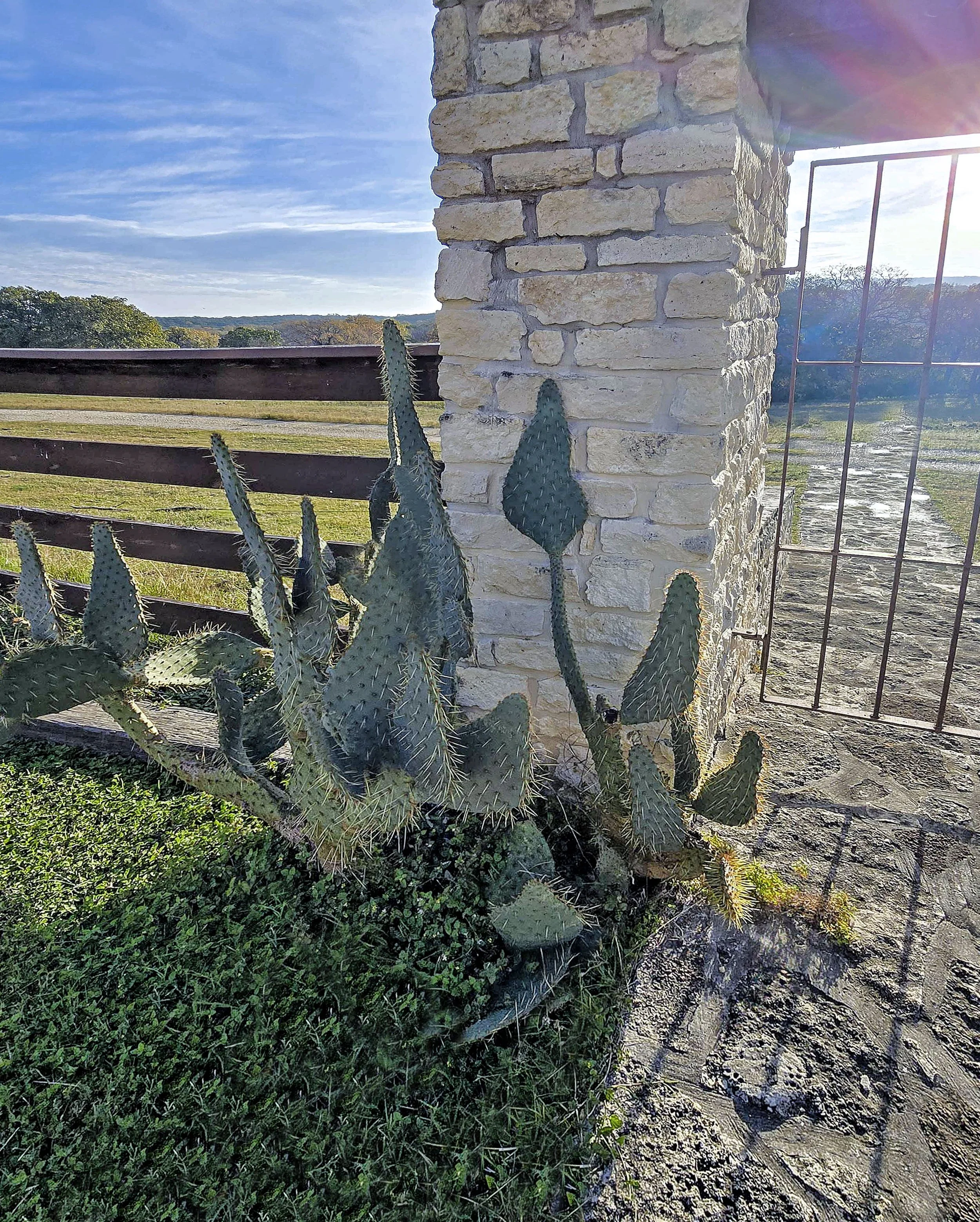 Fossil Rim-011.jpg