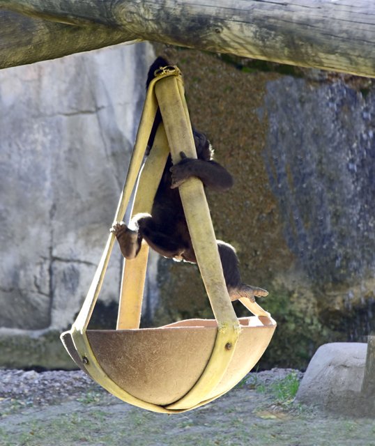 FWZoo-048.jpg