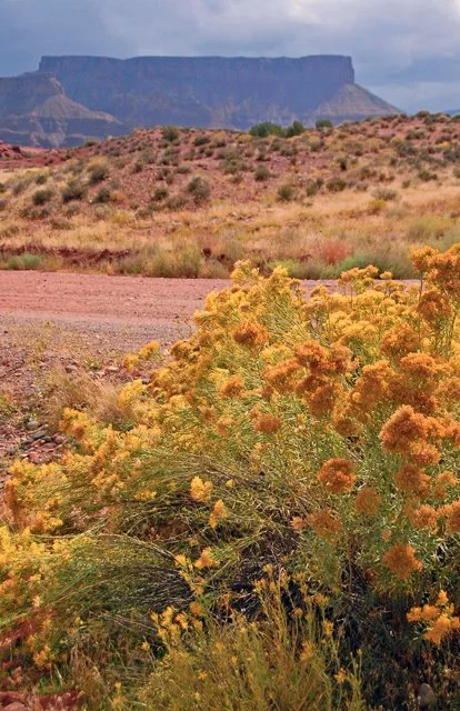 2007 Cent Ride-319.jpg