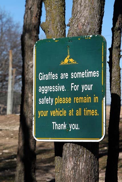 2003 Fossil Rim-052.jpg