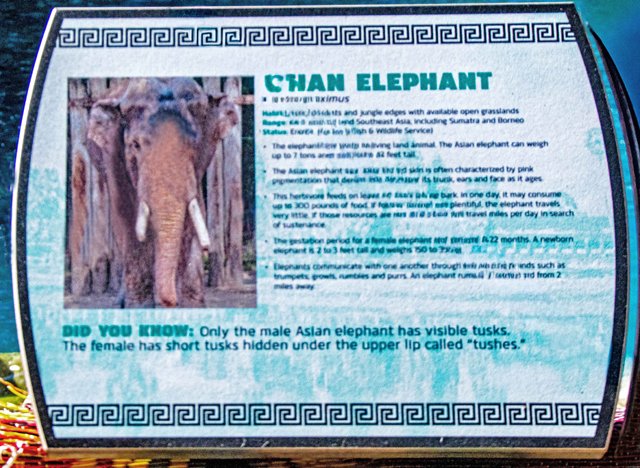 FW Zoo-022.jpg