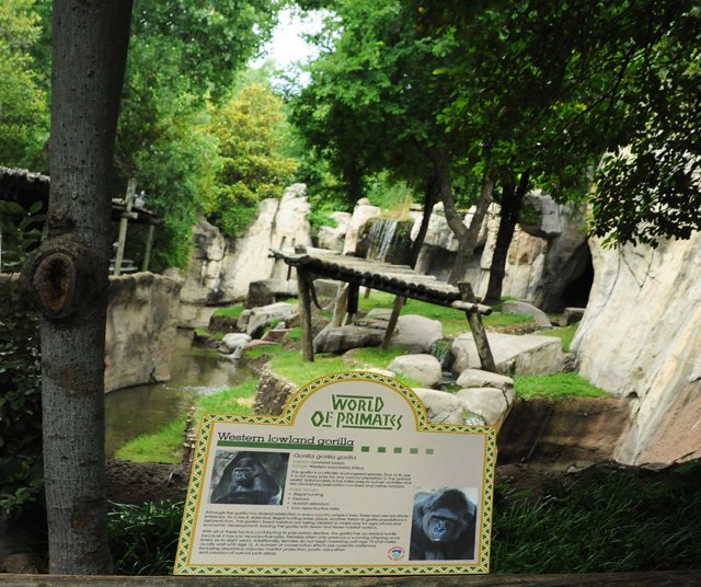 FWZoo-144.jpg