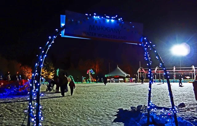 2013 Calgary Zoolights-090