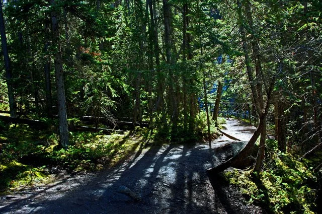 2012 Canyon Walk-310