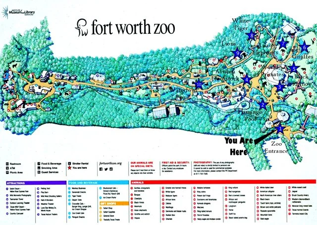 FWZoo-007.jpg