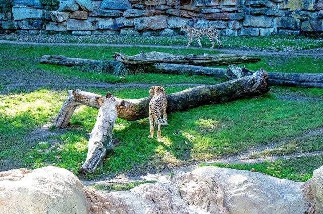FW Zoo-071.jpg