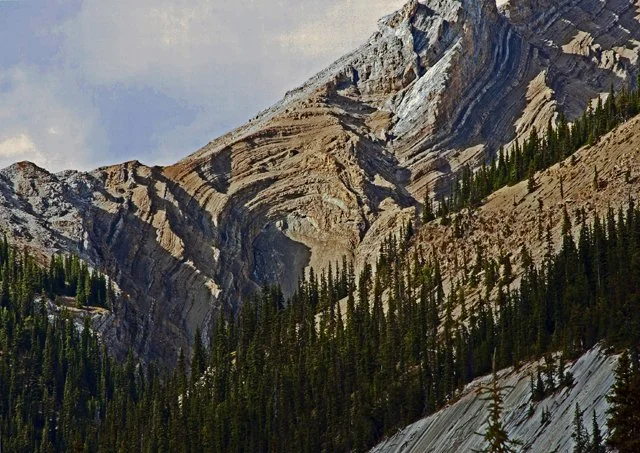 2011 Medicine Lk-140