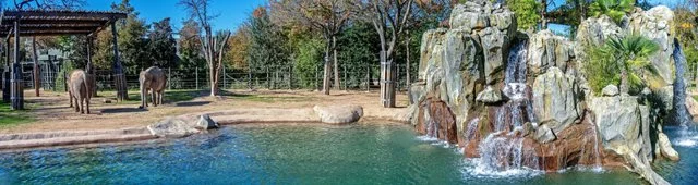 FW Zoo-019.jpg