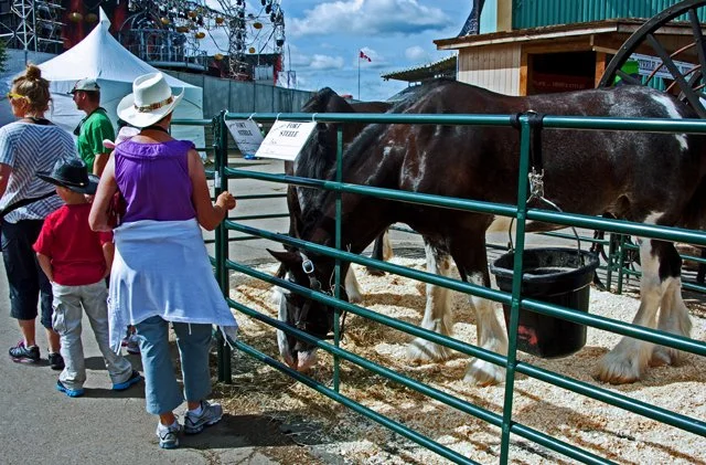 2011 Ag Displays-050