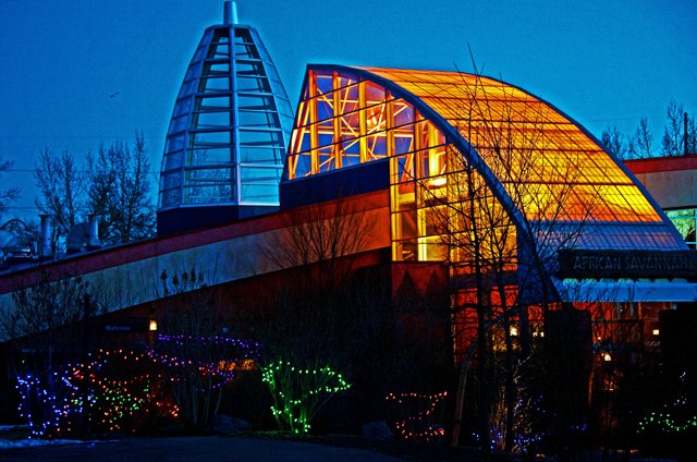 Zoolights-099.jpg