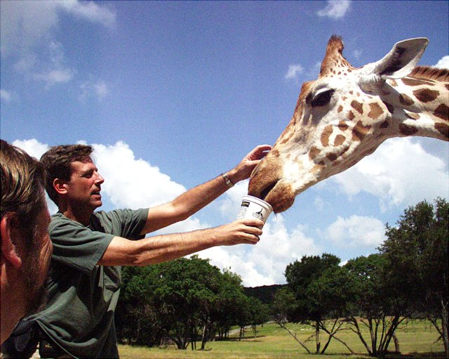 2001 Fossil Rim-052.jpg
