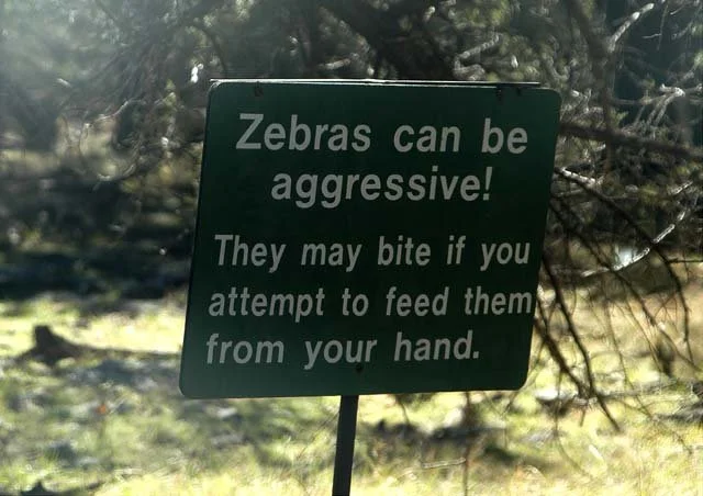 2003 Fossil Rim-184.jpg