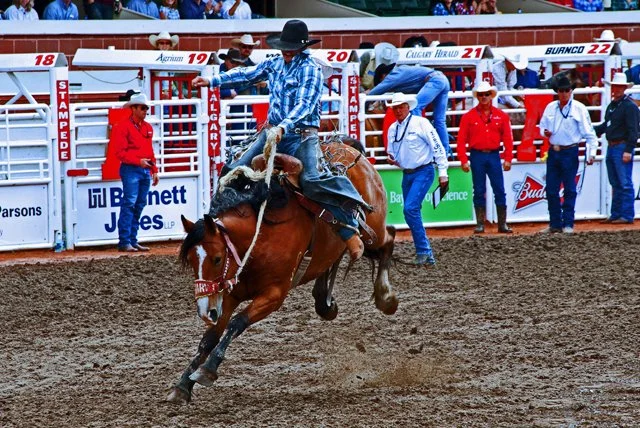 Rodeo-091.jpg