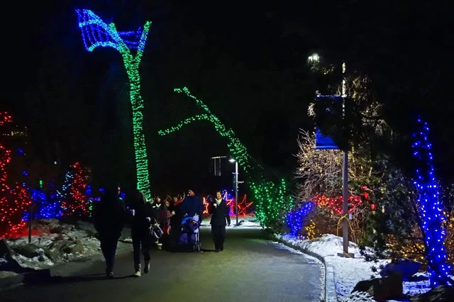 2013 Calgary Zoolights-080
