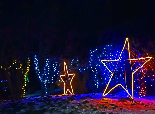 Zoolights-088.jpg