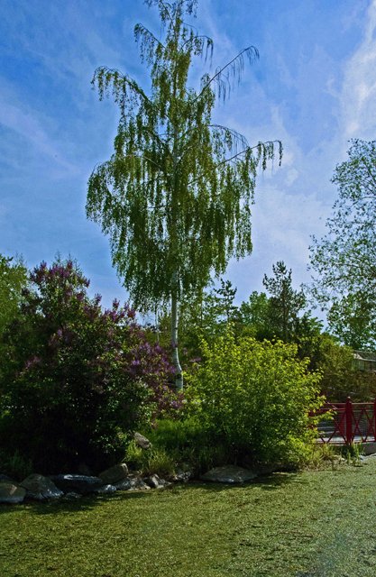 2012 Calgary Spring-040